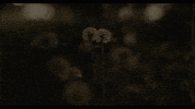 Music Video Owen GIF by Polyvinyl Records
