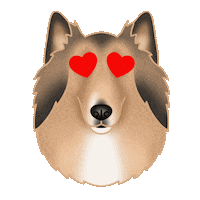 Dog Food Sticker by zoopeez