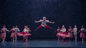 Nutcracker GIF by English National Ballet