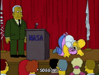 homer simpson GIF
