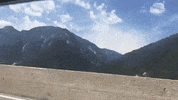 topshelf records prawn GIF