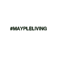 Maypleliving Sticker by Mayple