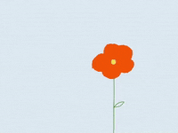 Happy Good Morning GIF by Barbara Pozzi