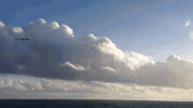 laguna beach GIF by Justin