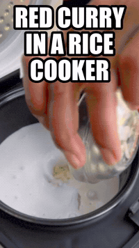 Red Curry In A Rice Cooker | Rice Robot