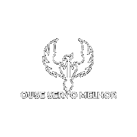 Osm Sticker by Carangos Legais