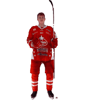 U18 Sticker by StjernenHockey