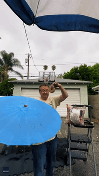 California Juggler Uses Flaming Plastic Hamburger, Parasol, and Pillow for Tricks During Storm Hilary