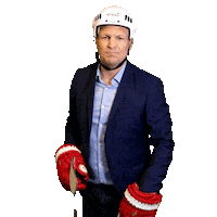 Eishockeywm Sticker by SPORT1