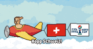 World Cup Flag GIF by HotDogs