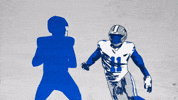 Dallas Cowboys Football GIF