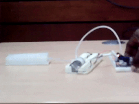gizemoktay giphygifmaker GIF