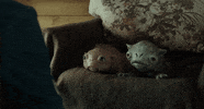 GIF by The Cleanse