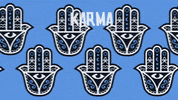 youngwolfhatchlings destiny karma yolo yogi GIF
