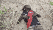 Art Documentary GIF by UnionDocs