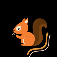 Naturpellet Ardilla Pellet GIF by Naturpellet