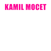 Intenze tattoo ink z kamil Sticker