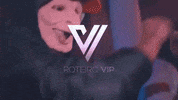 roteirovip roteirovip GIF