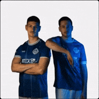 Tsvwendlingen Tsvwendlingen1920 Tsv Wendlingen GIF by TSV Wendlingen 1920 e.V.