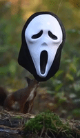 Squirrel Wears Scream Movie Mask