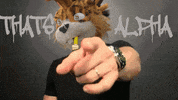 Crypto Nft GIF by FlufWorld