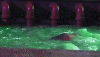 surprised doctor who GIF