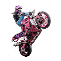 Motorcycle Stuntbike Sticker by Crazy Iron