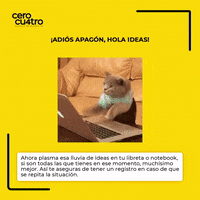 agenciacerocuatro cerocuatro GIF