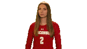 Wisconsin Volleyball Sport Sticker by Wisconsin Badgers