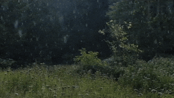 Does This Count as Rain?