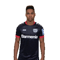 Bayer 04 Laughing Sticker by Bundesliga