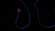 classical music animation GIF by Pierre-Julien Fieux