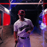 Home Run Celebration GIF by Gamecock Athletics
