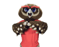 Boca Raton Touchdown Sticker by Florida Atlantic University