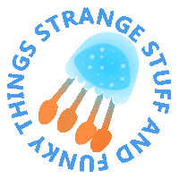 Jellyfish Meduse Sticker