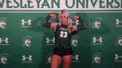 Iwuwvb24 GIF by iwusports