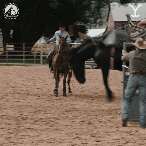 Paramount Network Horse GIF by Yellowstone
