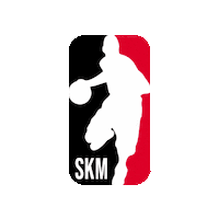 Lithuania Krepsinis Sticker by SKM Vilnius