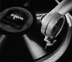 black and white love GIF