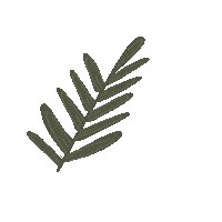 Flower Plant Sticker