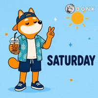 Crypto Saturday GIF by BONK