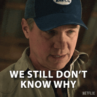 Confused No Idea GIF by NETFLIX