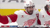 Happy Red Wings GIF by NHL