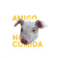 elparaiso animal vegan pig veggie Sticker