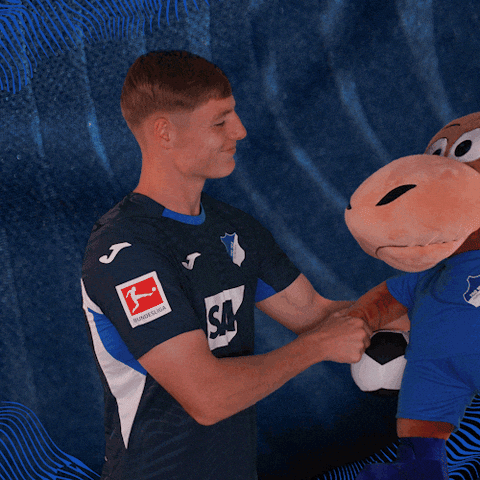Sport Bundesliga GIF by TSG Hoffenheim