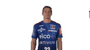 Handball-Bundesliga Sport Sticker by LIQUI MOLY HBL