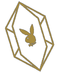 Bunny Rabbit Sticker by Yandy.com