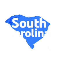 South Carolina Pride Sticker by YouTube