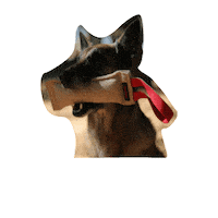 Dog Toy Rush Sticker by Leerburg