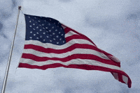 United States Usa GIF by GT8Studios